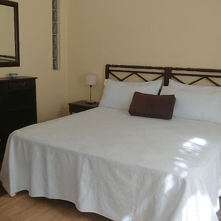 534 Petit San Telmo - Studio & Suites Buenos Aires Eksteriør billede