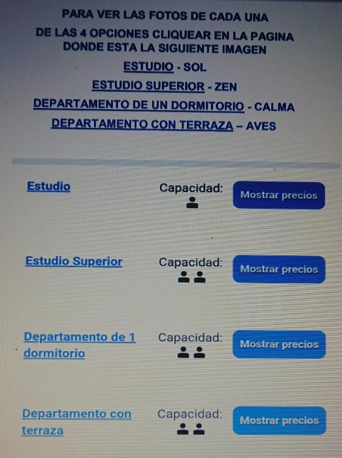 534 Petit San Telmo - Studio & Suites Buenos Aires Eksteriør billede