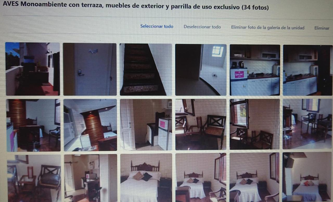 534 Petit San Telmo - Studio & Suites Buenos Aires Eksteriør billede